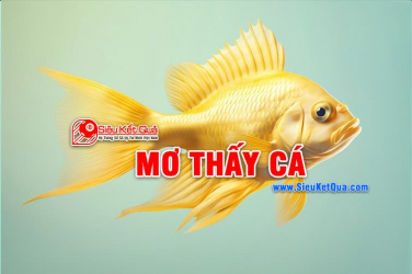 Mơ thấy cá liên quan đến số nào? Điềm báo giấc mơ này là gì?