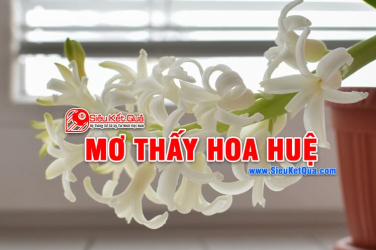 Mơ thấy hoa huệ trắng là điềm báo gì? Nằm mơ thấy hoa huệ trắng liên quan những số nào?