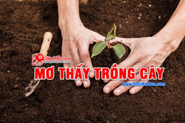 Mơ thấy trồng cây là điềm báo may mắn hay đen đủi? Mơ thấy trồng cây là con số may mắn nào? 