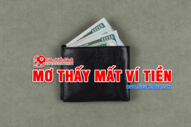 Mơ thấy mất ví tiền là điềm báo gì? Nằm mơ thấy mất ví tiền là những số may mắn nào?